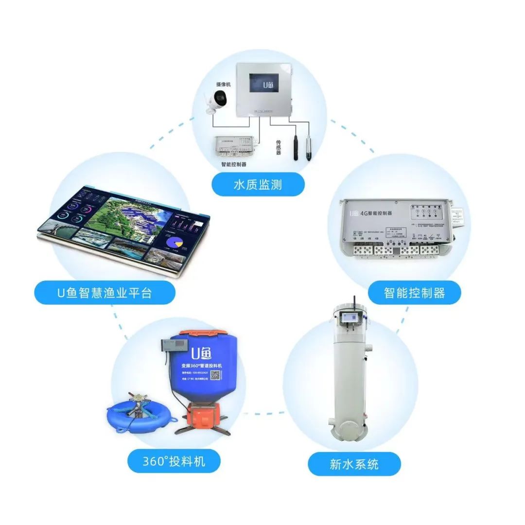 養殖設備免費送？互聯網技術如何重塑養殖設施行業新格局